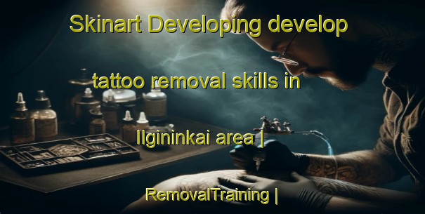 Skinart Developing develop tattoo removal skills in Ilgininkai area | RemovalTraining | RemovalClasses | SkinartTraining-Lithuania